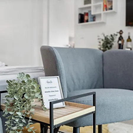 Hotel Amelie Chez Inez