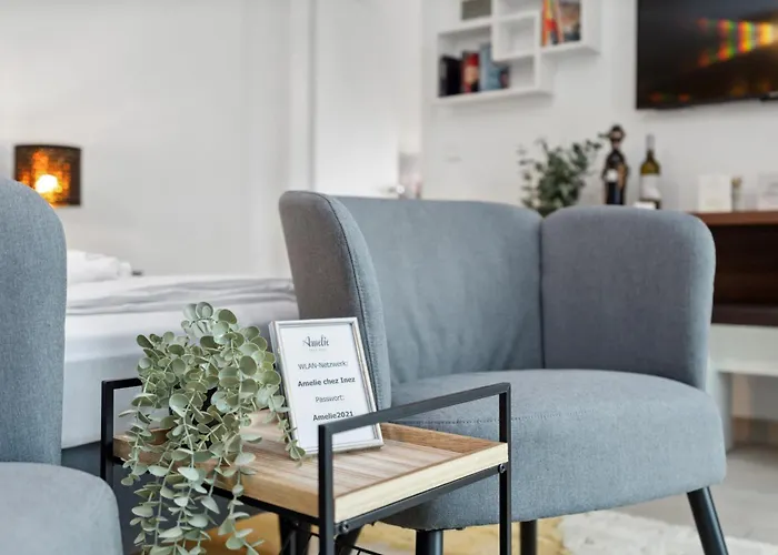 Hotel Amelie Chez Inez